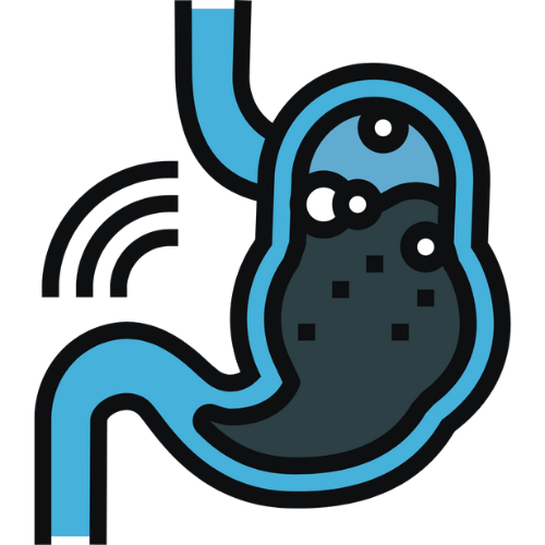 Alt Image
